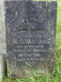 image of grave number 596739